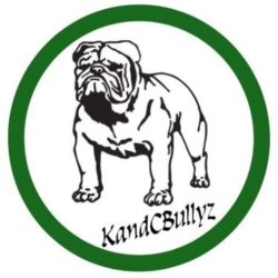 KandCBullyz